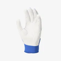 Nike Hyperdiamond женская Softball Gloves (1 пара) синий