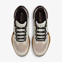 Nike Pegasus 41 мужские Road Running Кроссовки цвет коричневый