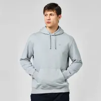 Кофта/футболка Champion Icons Hooded 219871-ES002 - Серая