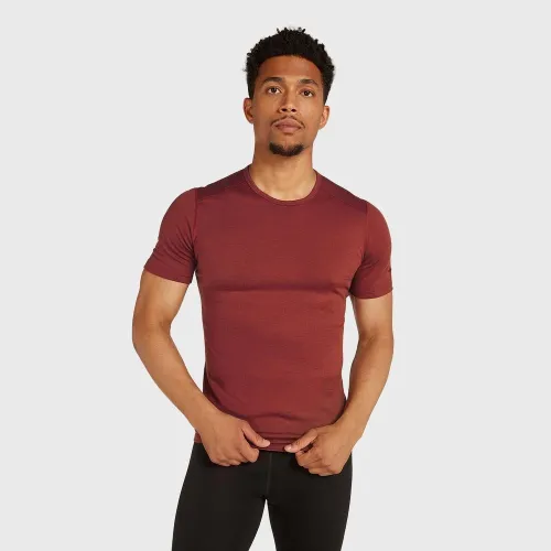 Футболка Icebreaker Merino 200 Oasis 10450901C1 - Красная