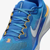 UCLA Pegasus 41 мужские Nike College Road Running Кроссовки синий