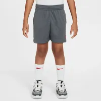 Nike Ja Big дитячі баскетбольні шорти колір сірий