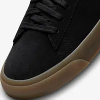 Nike SB Zoom Blazer Low Pro GT Skate Кроссовки цвет черный