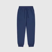 Штаны Champion Tonal C Logo Fleece Joggers 220314-BS561 - Cиний