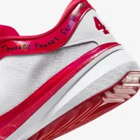 Nike Giannis Freak 5 ASW баскетбольные Кроссовки цвет красный