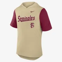 Florida State Seminoles Baseball Script чоловічі Nike Dri-FIT College Hooded футболка Yellow