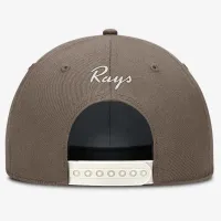 Tampa Bay Rays Rise мужские Nike Dri-FIT MLB Adjustable Hat цвет коричневый
