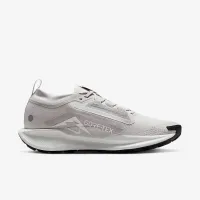 Nike Pegasus Trail 5 GORE-TEX чоловічі Waterproof Trail Running Кросівки колір сірий