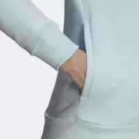 Кофта/футболка adidas Loungwear Essentials Logo Fleece Толстовка с капюшоном HM1905 - Голубая