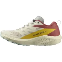 Кросівки для бігу Salomon SENSE RIDE 5 (472124)