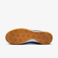 Nike Gato чоловічі Кросівки блакитний