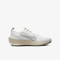 Nike Interact Run SE чоловічі Road Running Кросівки колір сірий