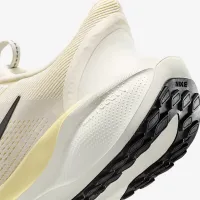 Nike Pegasus EasyOn жіноча Road Running Кросівки колір коричневий
