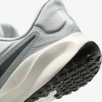 Nike Revolution 7 EasyOn мужские Road Running Кроссовки цвет серый