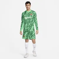 FC Barcelona 2024/25 Stadium Goalkeeper чоловічі Nike Soccer Replica Long-Sleeve Jersey колір зелений