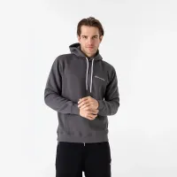 Кофта/футболка Champion Small Script Logo Fleece 219208-ES508 - Сіра
