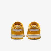 Nike Dunk Low женская Кроссовки цвет коричневый