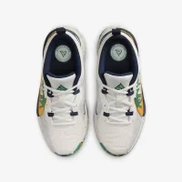 Nike Giannis Freak 5 SE 