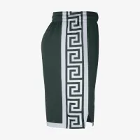 Nike College Dri-FIT (Michigan State) чоловічі баскетбольні шорти колір зелений
