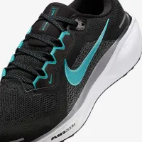 Nike Pegasus 41 чоловічі Road Running Кросівки колір чорний