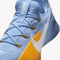 Nike LeBron TR 1 мужские для тренировок Кроссовки синий