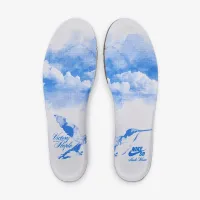 Nike SB Dunk Low Pro Skate Кроссовки цвет белый