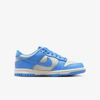 Nike Dunk Low Big детские Кроссовки цвет серый
