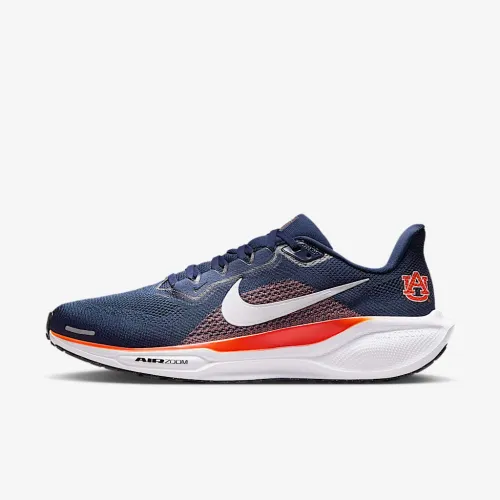 Auburn Pegasus 41 чоловічі Nike College Road Running Кросівки блакитний