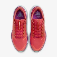 Nike Pegasus 41 GORE-TEX мужские Waterproof Road Running Кроссовки цвет красный