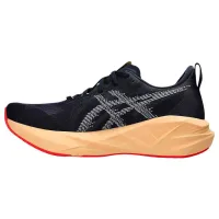 Кроссовки для бега ASICS NOVABLAST 5 (1011B974 404)