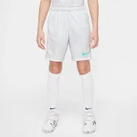 Nike Academy Big дитячі Dri-FIT Soccer шорти колір сірий