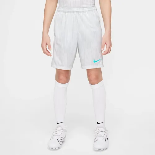 Nike Academy Big дитячі Dri-FIT Soccer шорти колір сірий