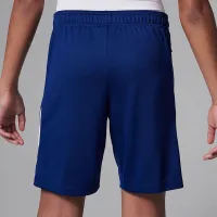 Nike Paris Saint-Germain Strike Fourth Big дитячі Jordan Dri-FIT Soccer Knit шорти блакитний