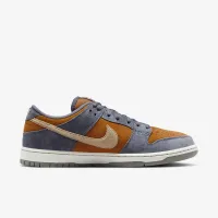 Nike SB Dunk Low Pro Skate Кросівки колір сірий
