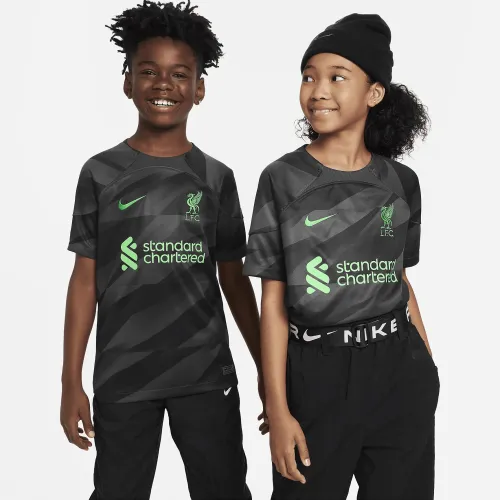 Liverpool FC 2023/24 Stadium Goalkeeper Big детские Nike Dri-FIT Short-Sleeve Soccer Jersey цвет серый