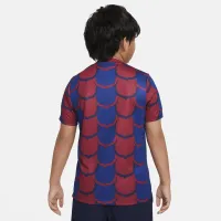 FC Barcelona Academy Pro Big детские Nike Dri-FIT Soccer Pre-Match Top синий