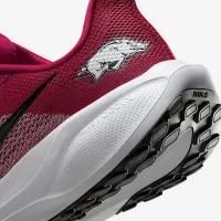 Arkansas Pegasus 41 чоловічі Nike College Road Running Кросівки колір червоний