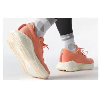 Кроссовки для бега Мужские Salomon AERO GLIDE 3 (478107)