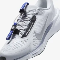 Nike Pegasus EasyOn чоловічі Road Running Кросівки колір сірий