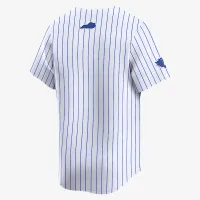 Kentucky Wildcats мужские Nike College Limited Baseball Jersey цвет белый