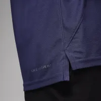 Nike Jordan Dri-FIT ADV Sport мужские для гольфа Polo цвет фиолетовый