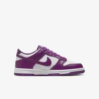 Nike Dunk Low Big детские Кроссовки цвет белый