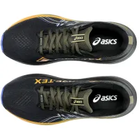 Кроссовки для бега Мужские ASICS GT-2000 14 GTX (1011C058 001)