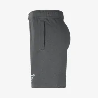 Texas чоловічі Nike College Fleece шорти колір сірий