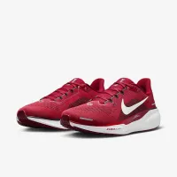 Nike Pegasus 41 NFL Arizona Cardinals мужские Road Running Кроссовки цвет красный