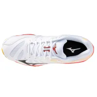 Кроссовки do волейбола Мужские Mizuno WAVE VOLTAGE 2 (V1GA246098)