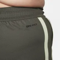 Nike Sabrina Dri-FIT баскетбольные шорты (большие размеры) цвет зеленый