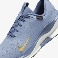 Nike InfinityRN 4 GORE-TEX женская Waterproof Road Running Кроссовки синий