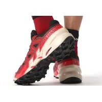 Кросівки для бігу w terenie SALOMON SPEEDCROSS 6 GTX Gore-tex (473018)