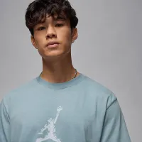 Nike Jordan Sport мужские Dri-FIT футболка цвет серый